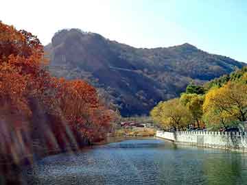 新澳天天开奖资料大全旅游团，洪荒 小说